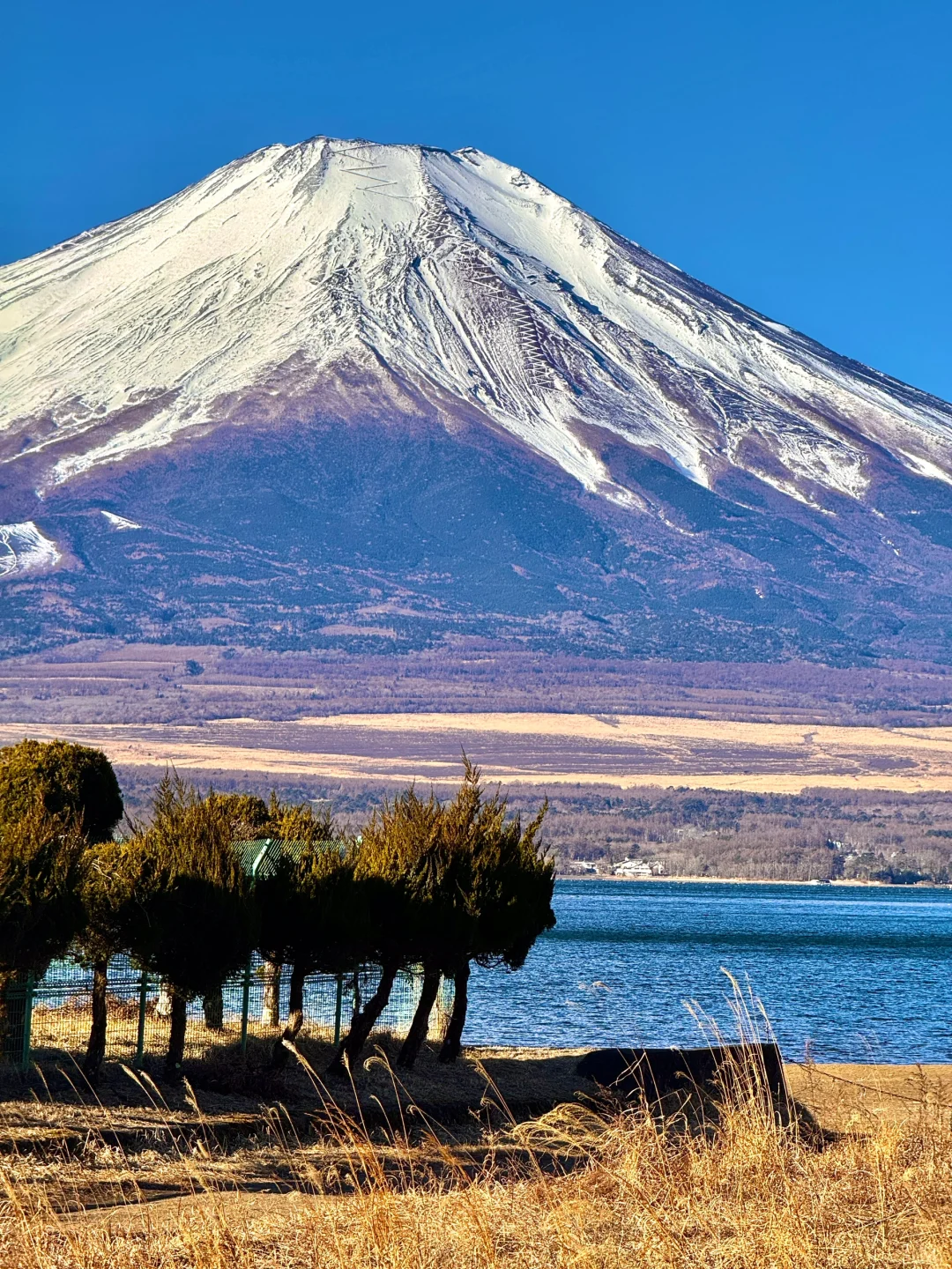 离开富士山了😭哭着发出1️⃣8️⃣张live图‼️