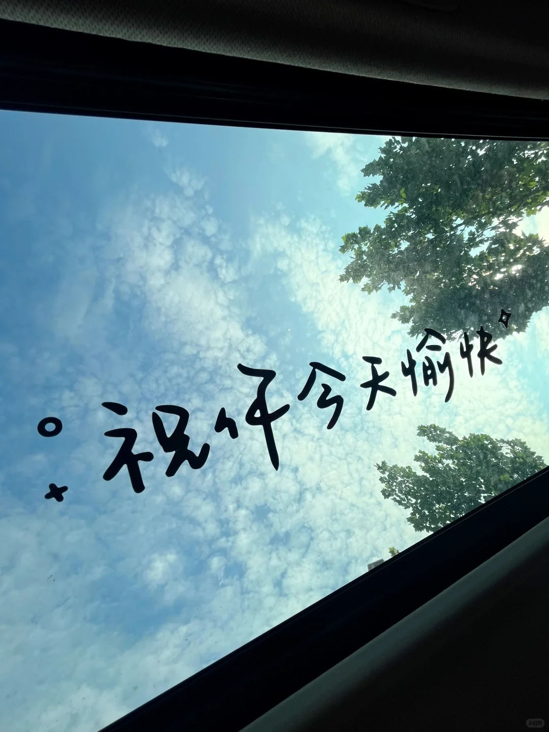 祝你今天愉快🍉