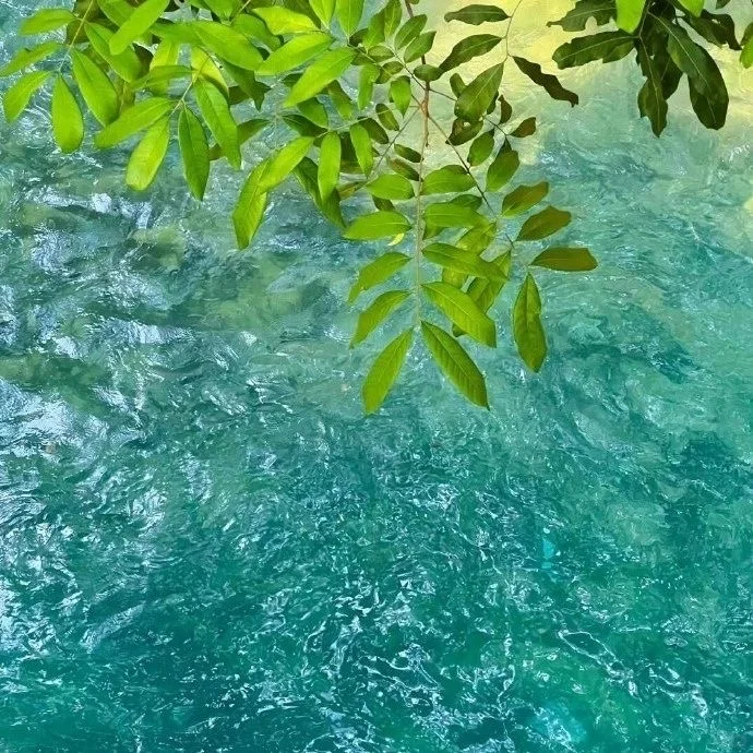 WeChat朋友圈背景图➕朋友圈文案日落