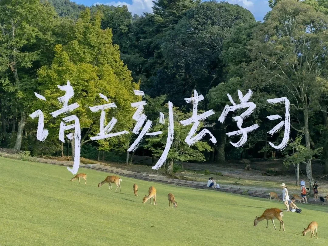 选择困难症辣😭绿色系iPad壁纸最近超喜欢