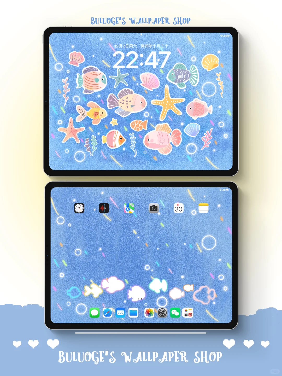 自由小鱼｜iPad壁纸✨🌊