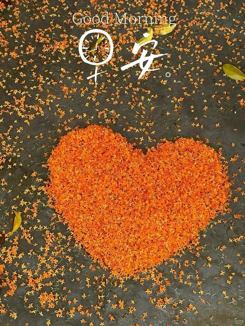 早安，珍惜每一个当下，砥砺前行