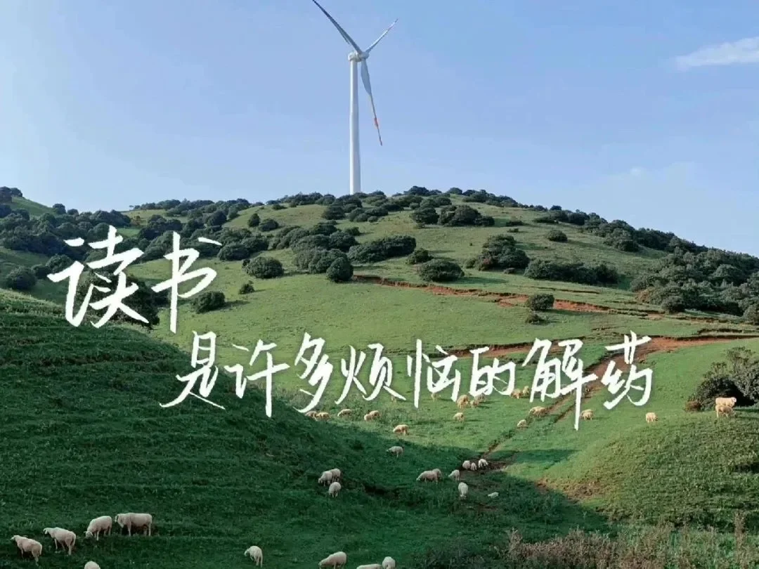 选择困难症辣😭绿色系iPad壁纸最近超喜欢