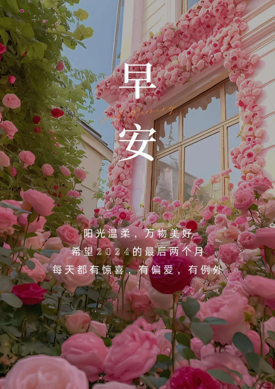 早安，珍惜每一个当下，砥砺前行