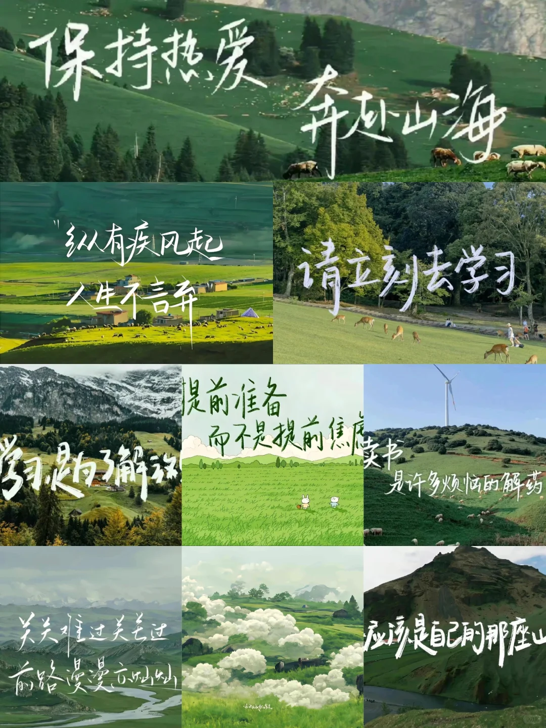 选择困难症辣😭绿色系iPad壁纸最近超喜欢