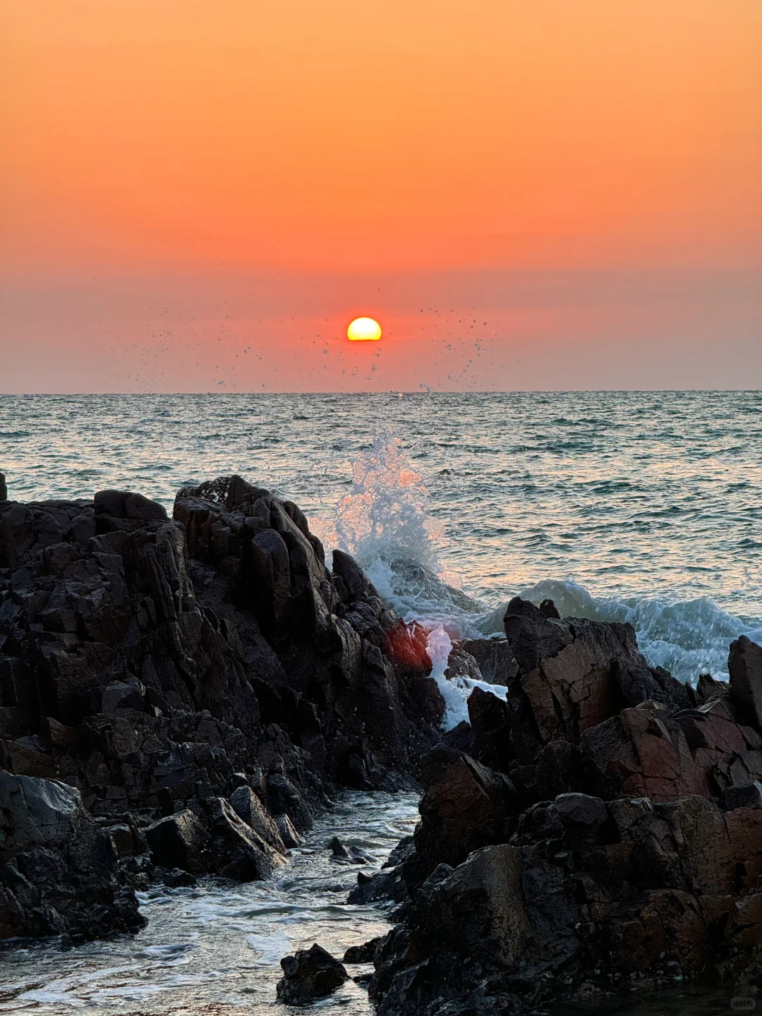 青岛秋天的海上日出才是绝绝子🥂10.17live
