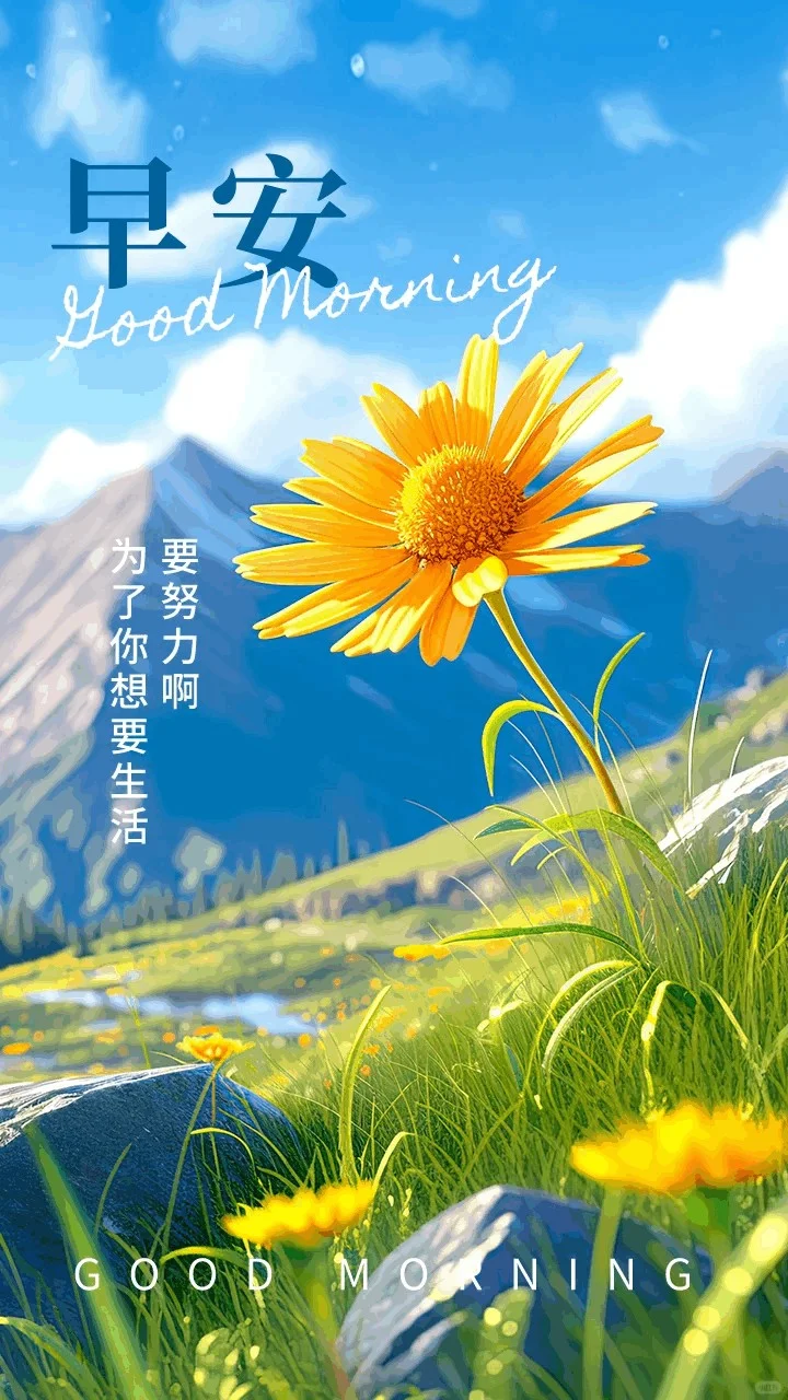 早安，珍惜每一个当下，砥砺前行