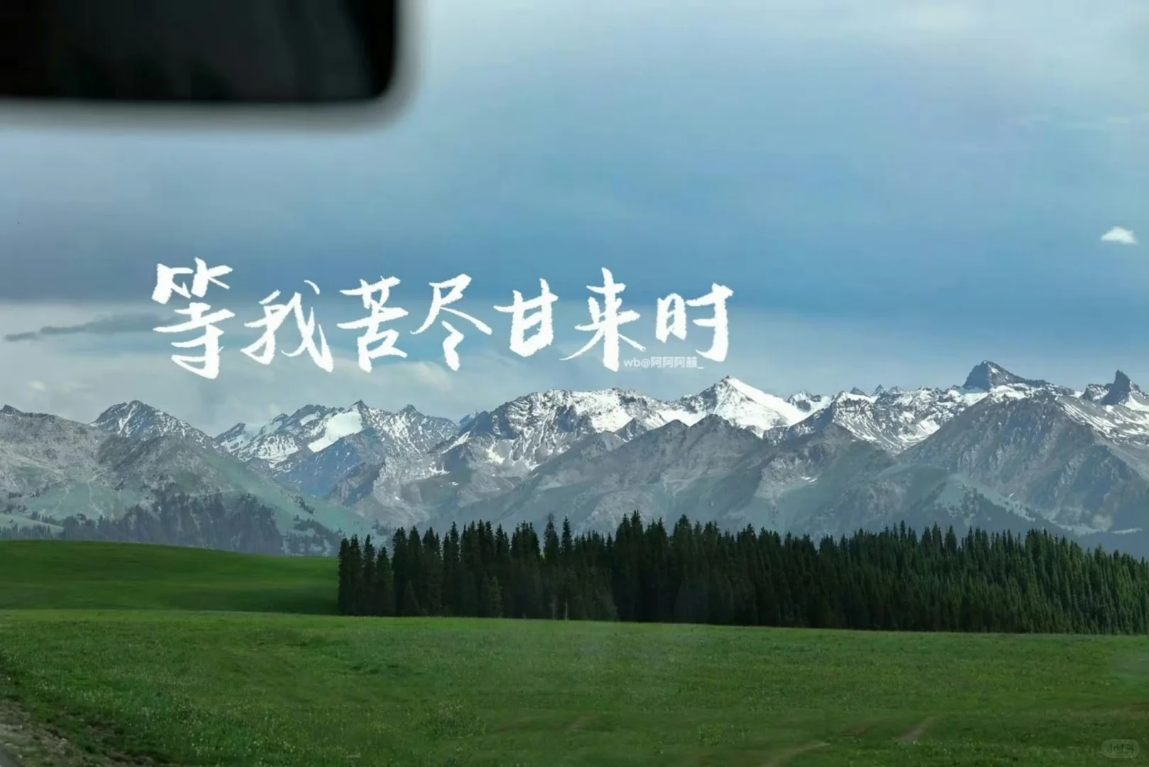 壁纸分享｜追光的人终会万丈光芒
