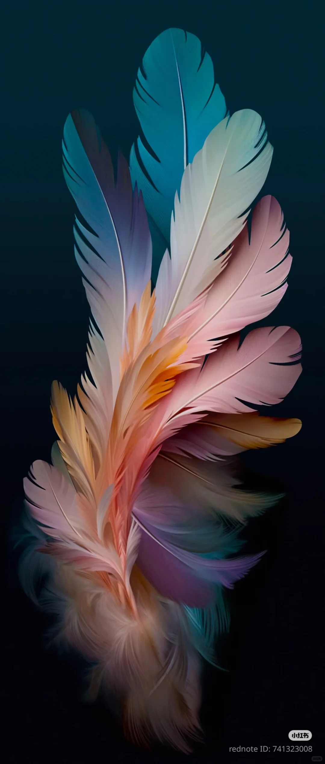 Mobile Wallpaper