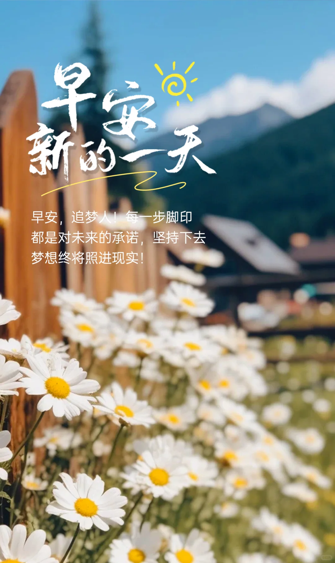 日签海报/早安海报/一周七天不重样海报
