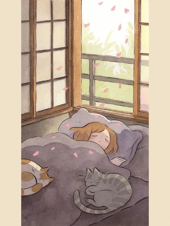 壁纸分享✨日日是好日