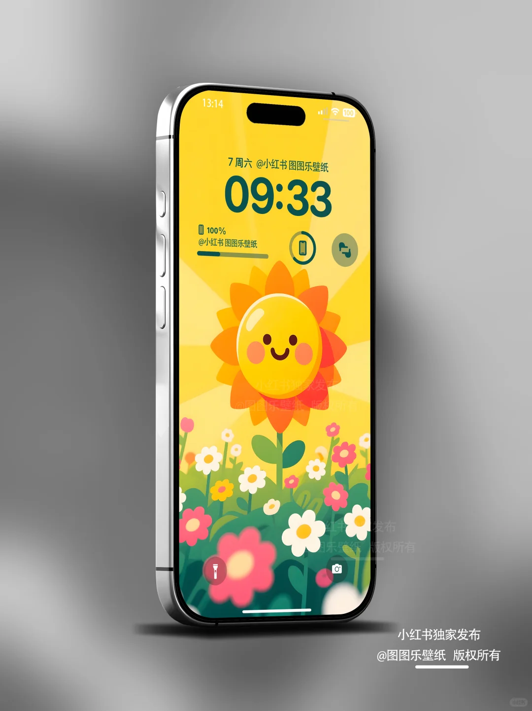 596｜开心的笑脸色彩太阳花花 手机壁纸