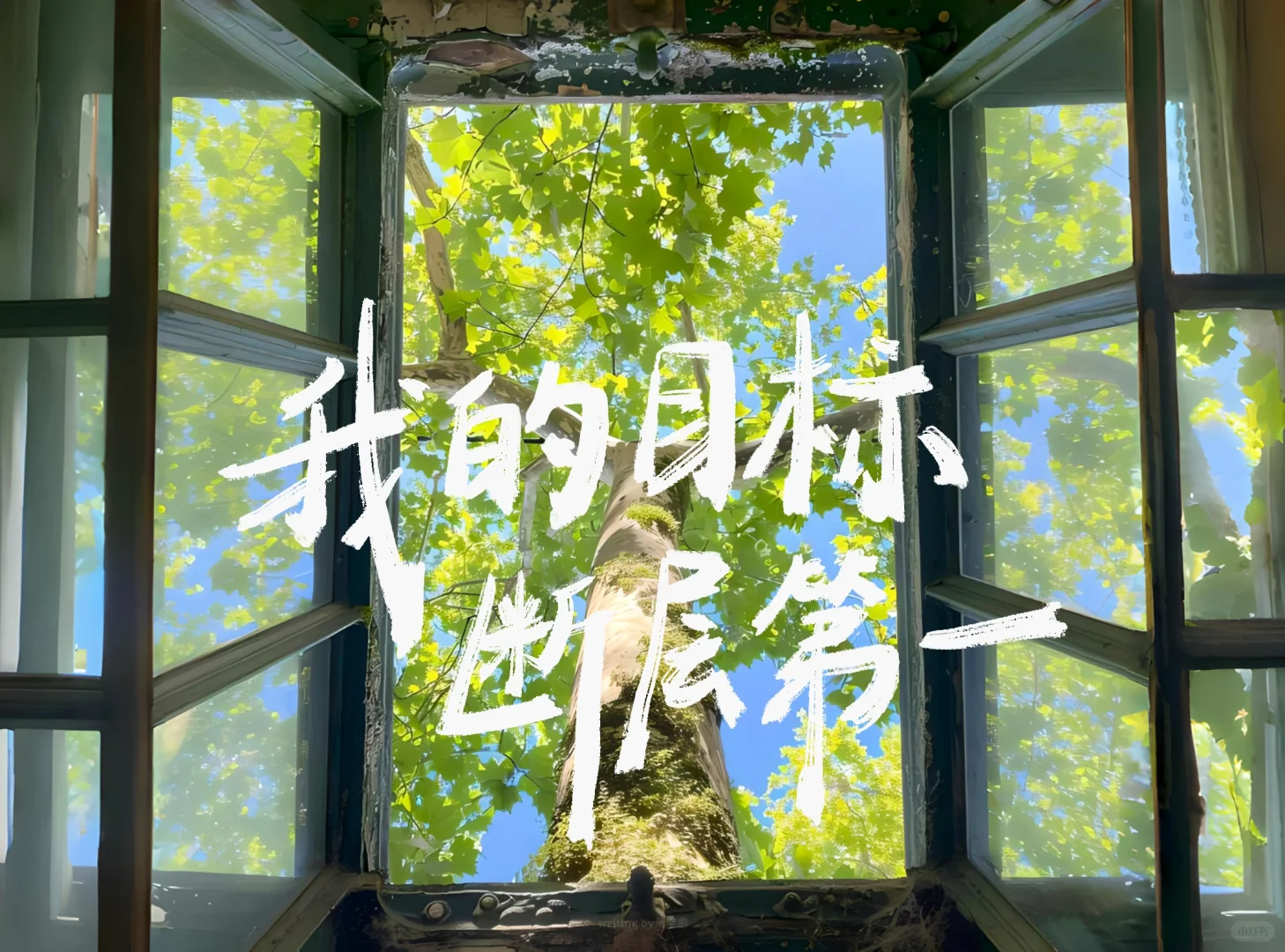 手写iPad壁纸｜现在开始永远不晚