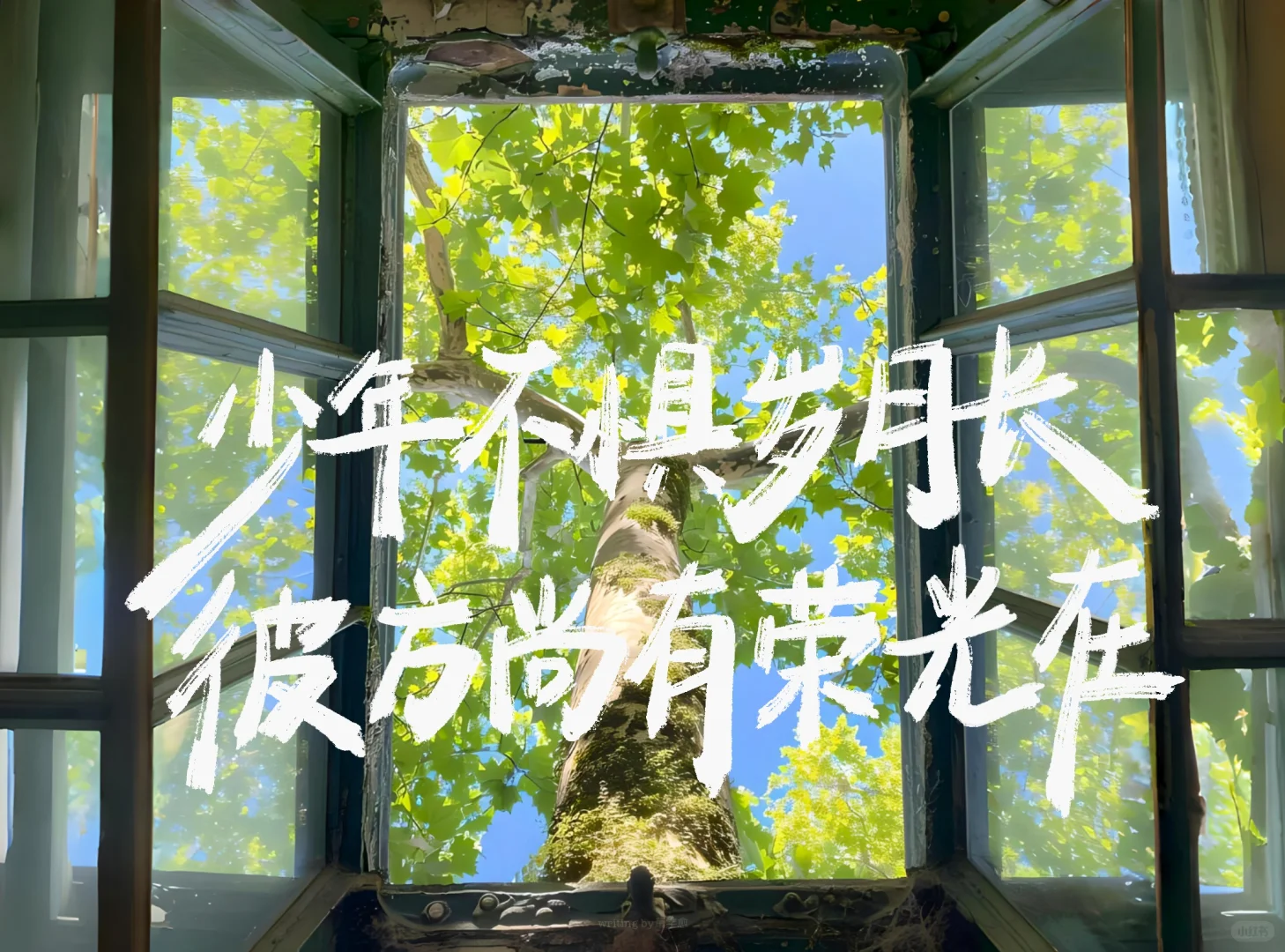 手写iPad壁纸｜现在开始永远不晚