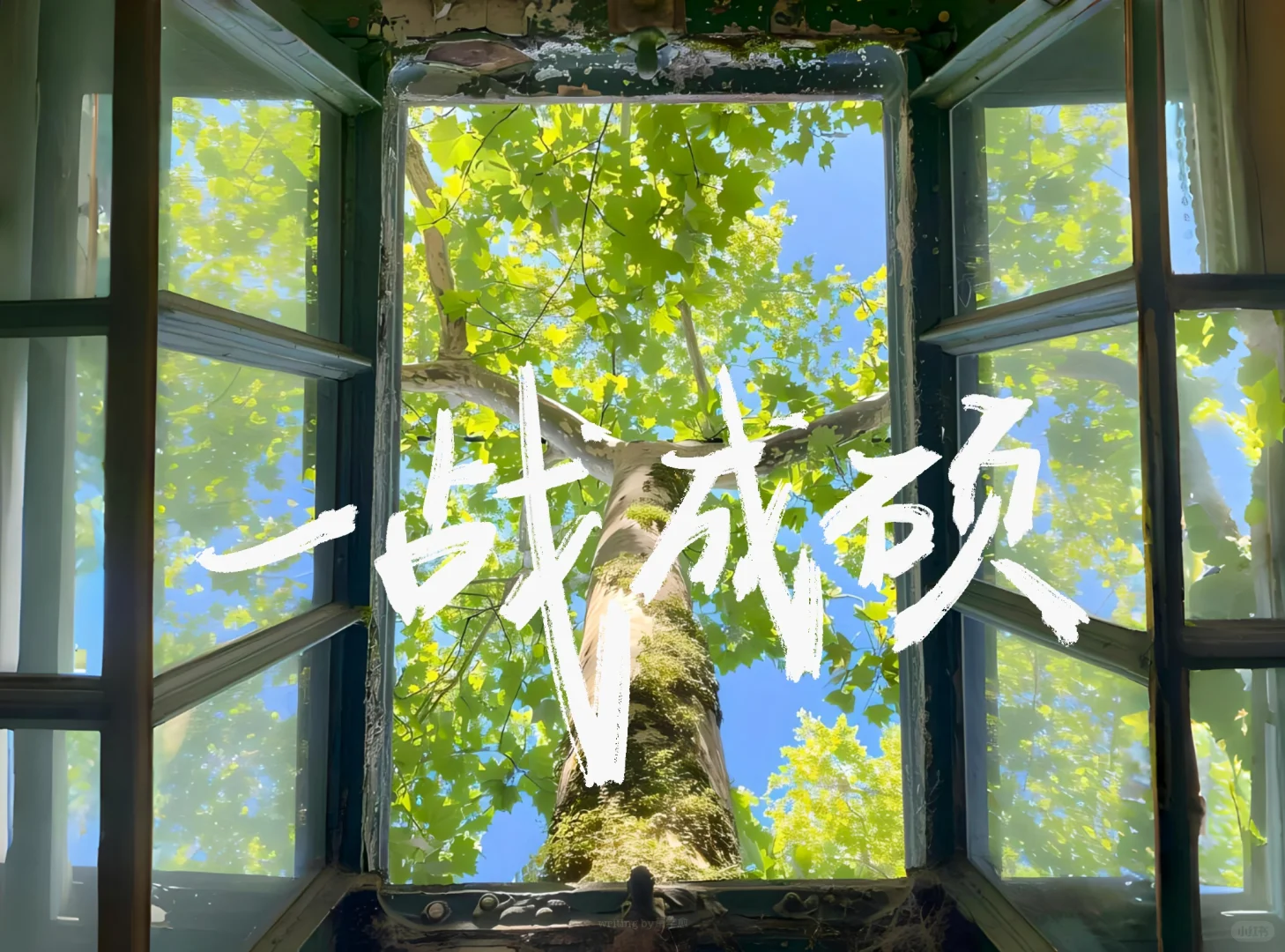 手写iPad壁纸｜现在开始永远不晚