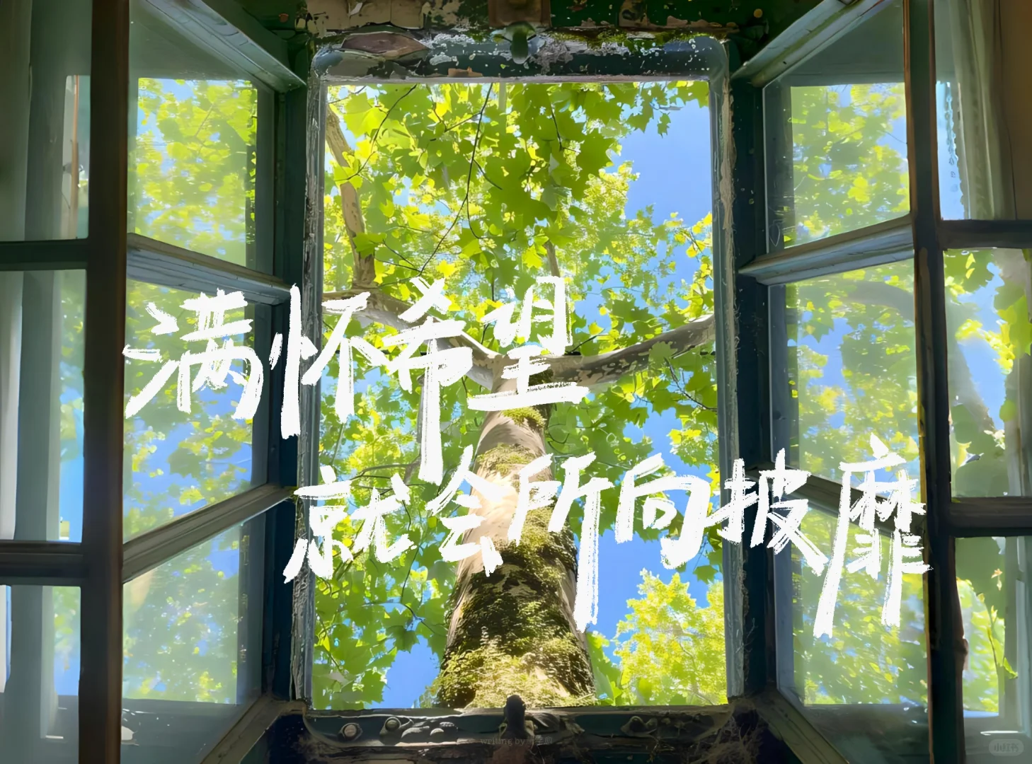 手写iPad壁纸｜现在开始永远不晚