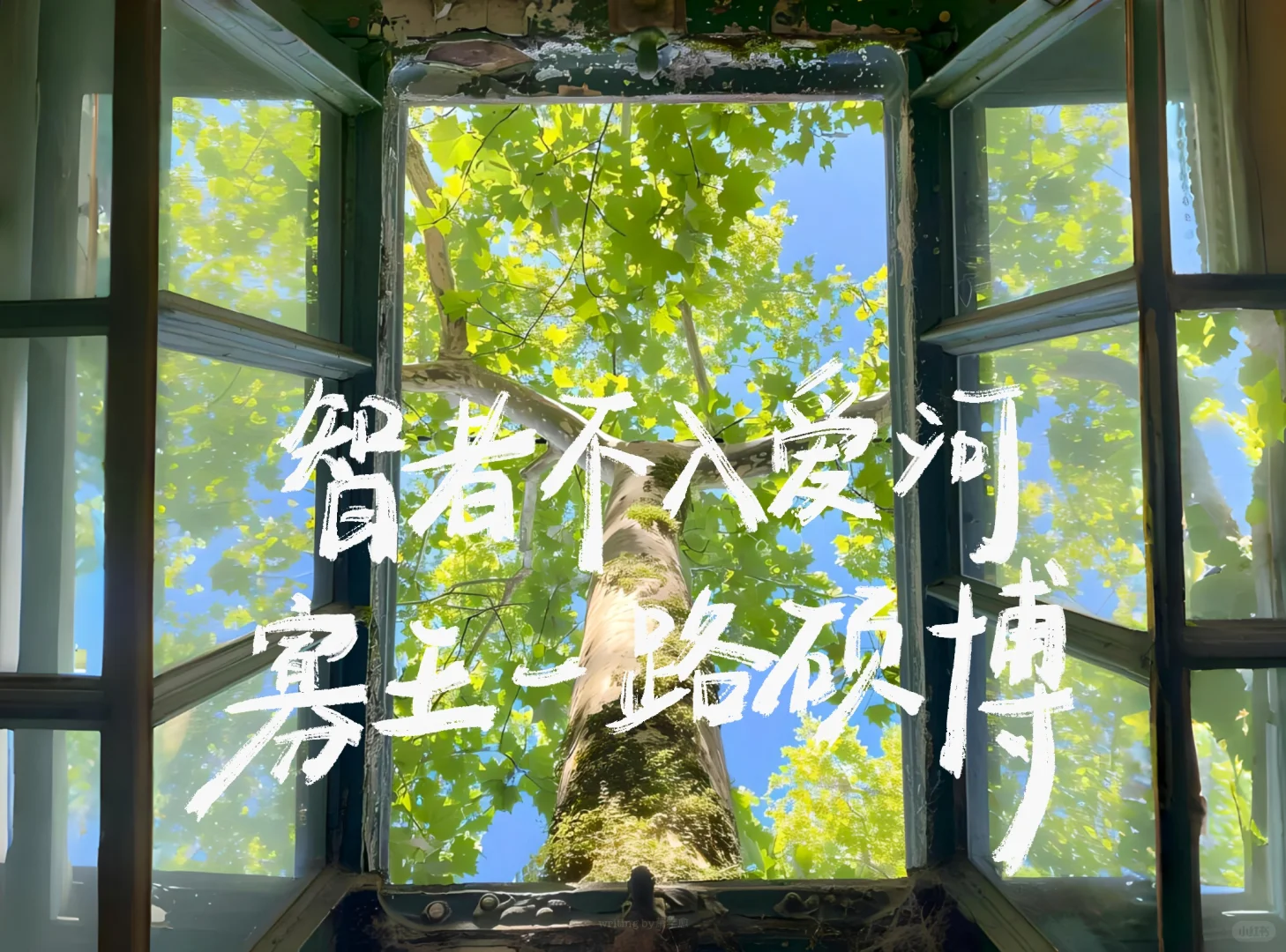 手写iPad壁纸｜现在开始永远不晚