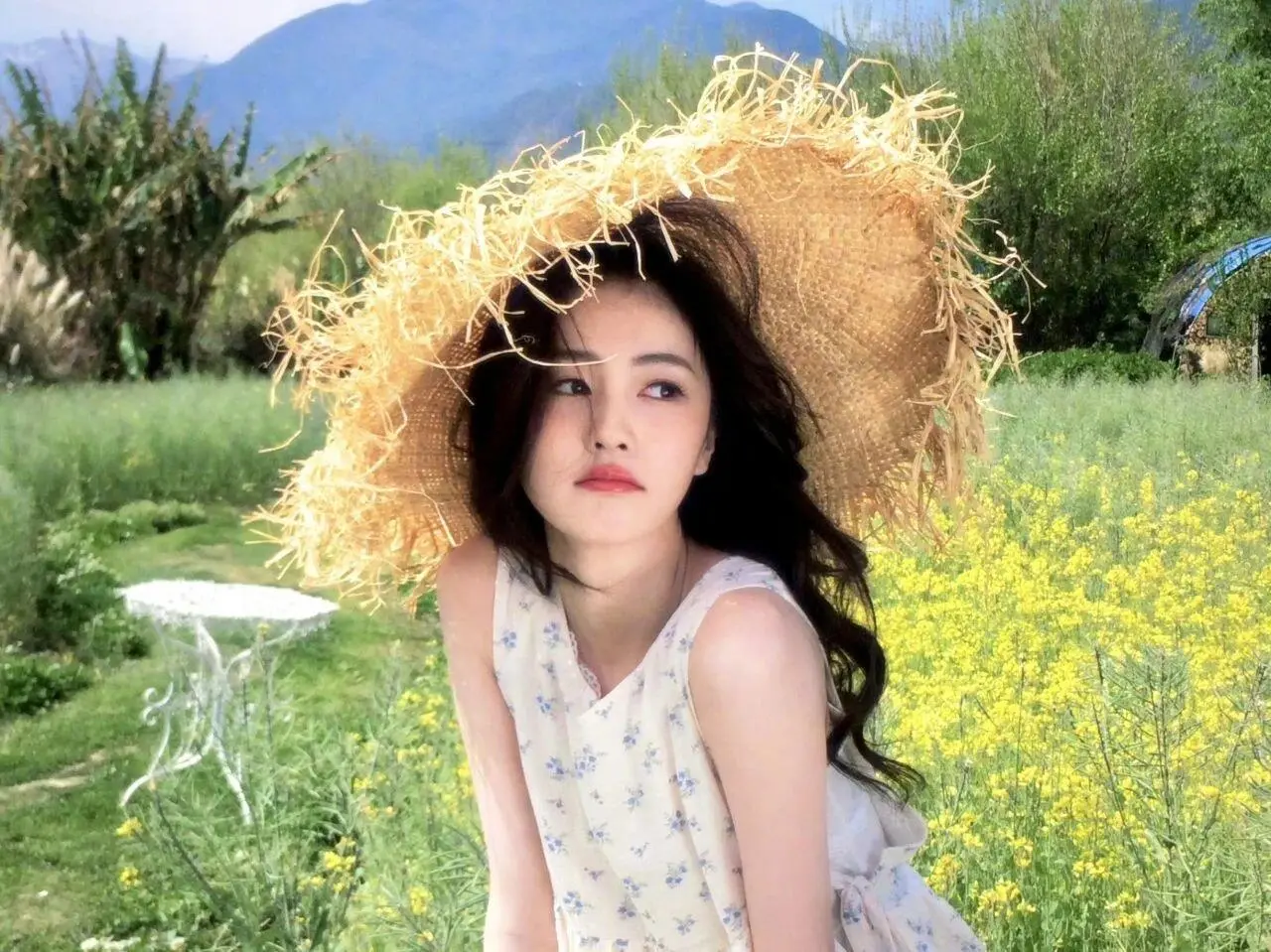 白鹿ipad壁纸