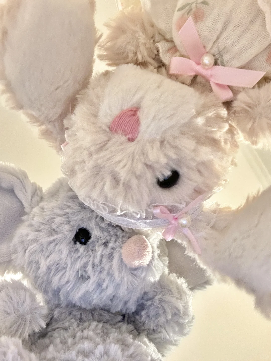 𝗬𝘂𝗺𝗺𝘆 𝘆𝘂𝗺𝗺𝘆 🐾