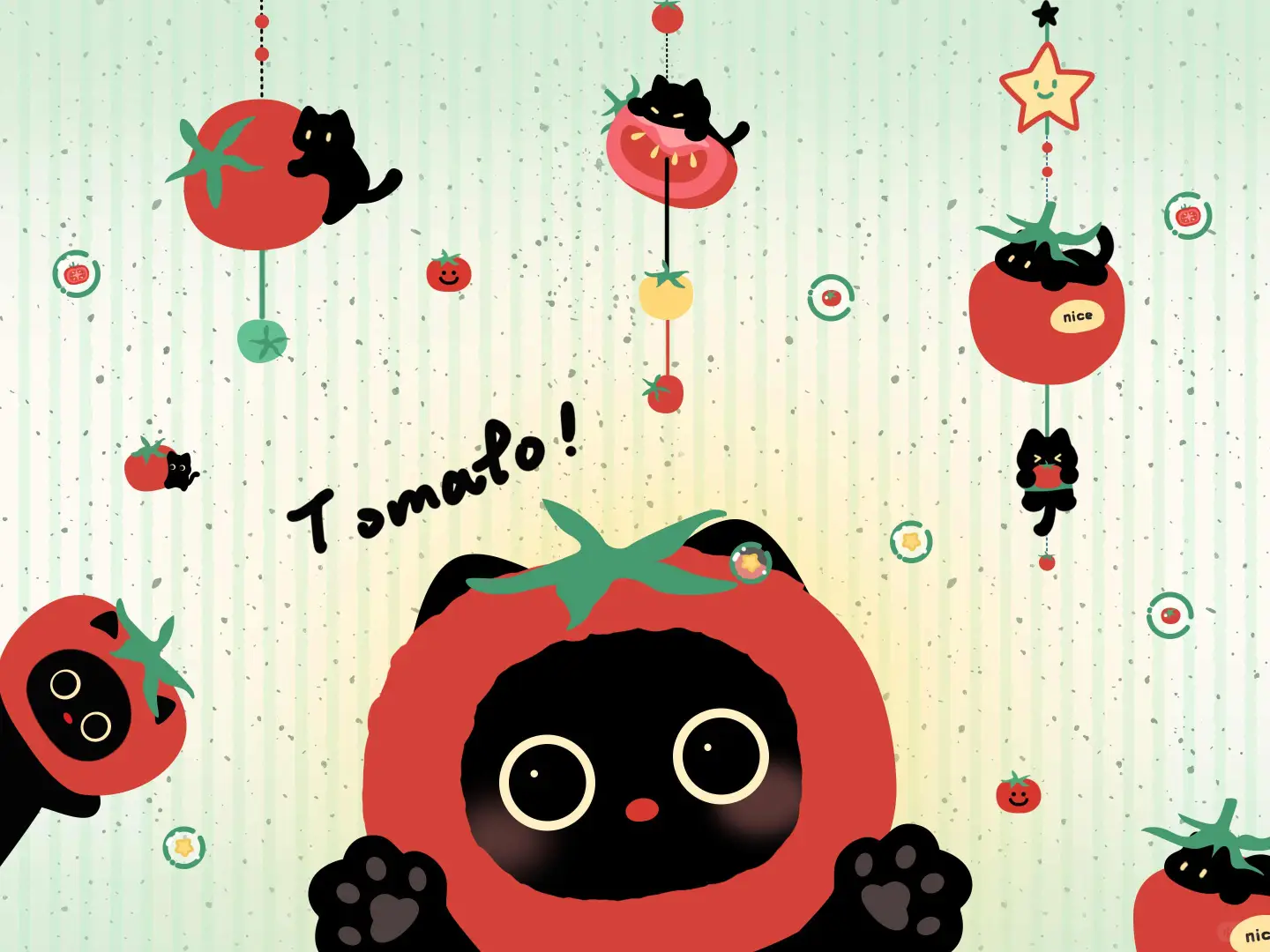 黑猫ipad壁纸大合集来啦！🍎✨太可爱啦～