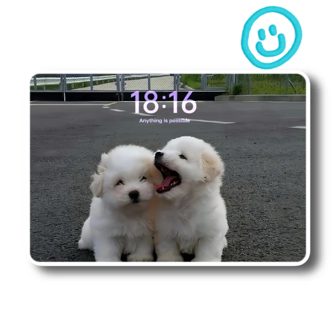 iPad壁纸💛猫猫狗狗🥰🥰