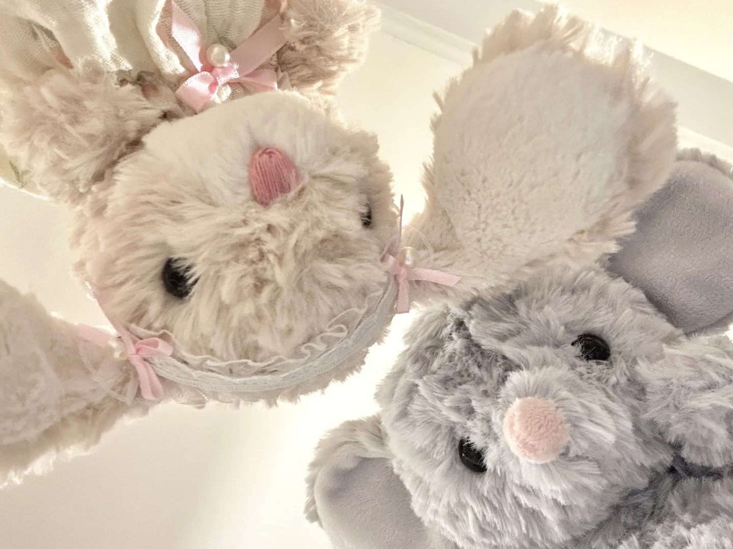 𝗬𝘂𝗺𝗺𝘆 𝘆𝘂𝗺𝗺𝘆 🐾