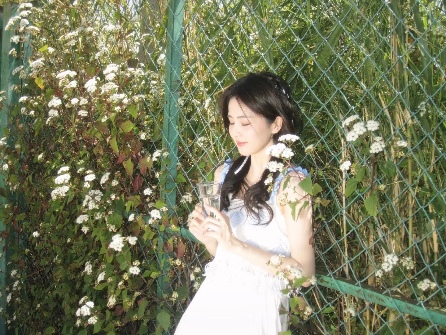 白鹿ipad壁纸