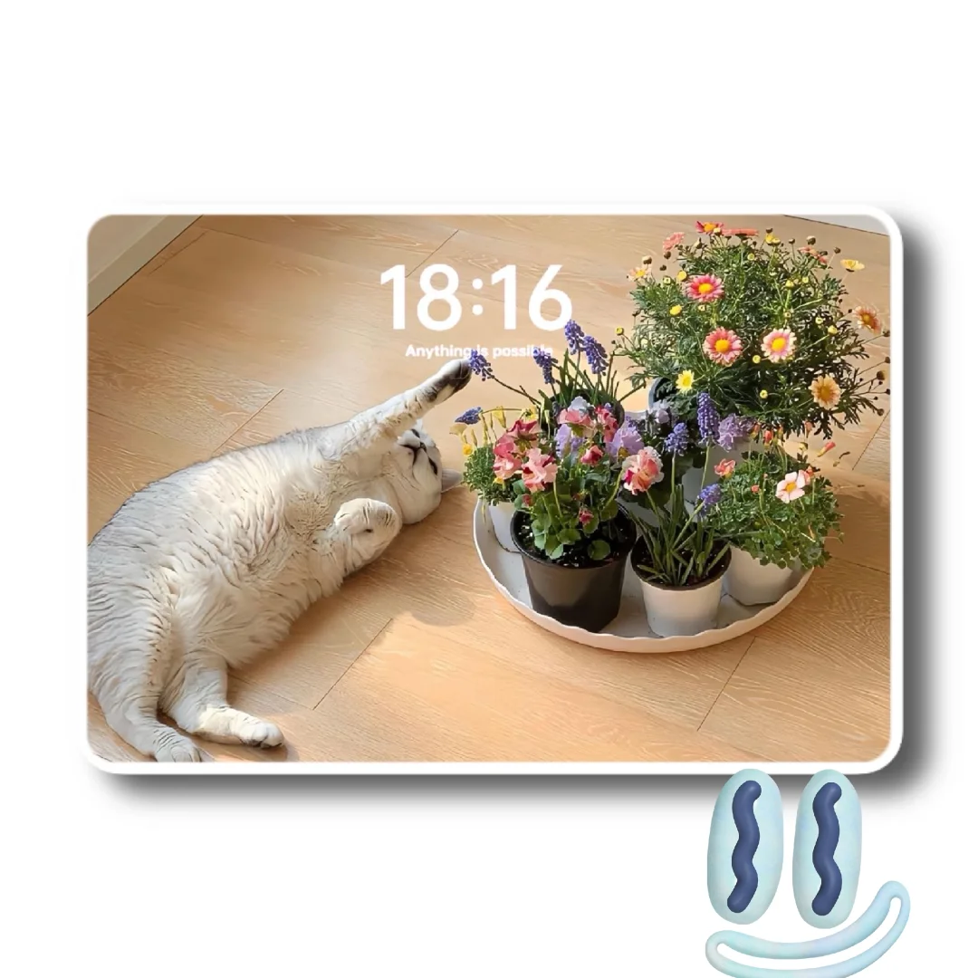 iPad壁纸💛猫猫狗狗🥰🥰