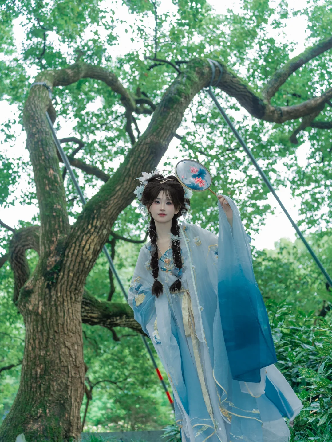 清河海风 溶溶月色🌙