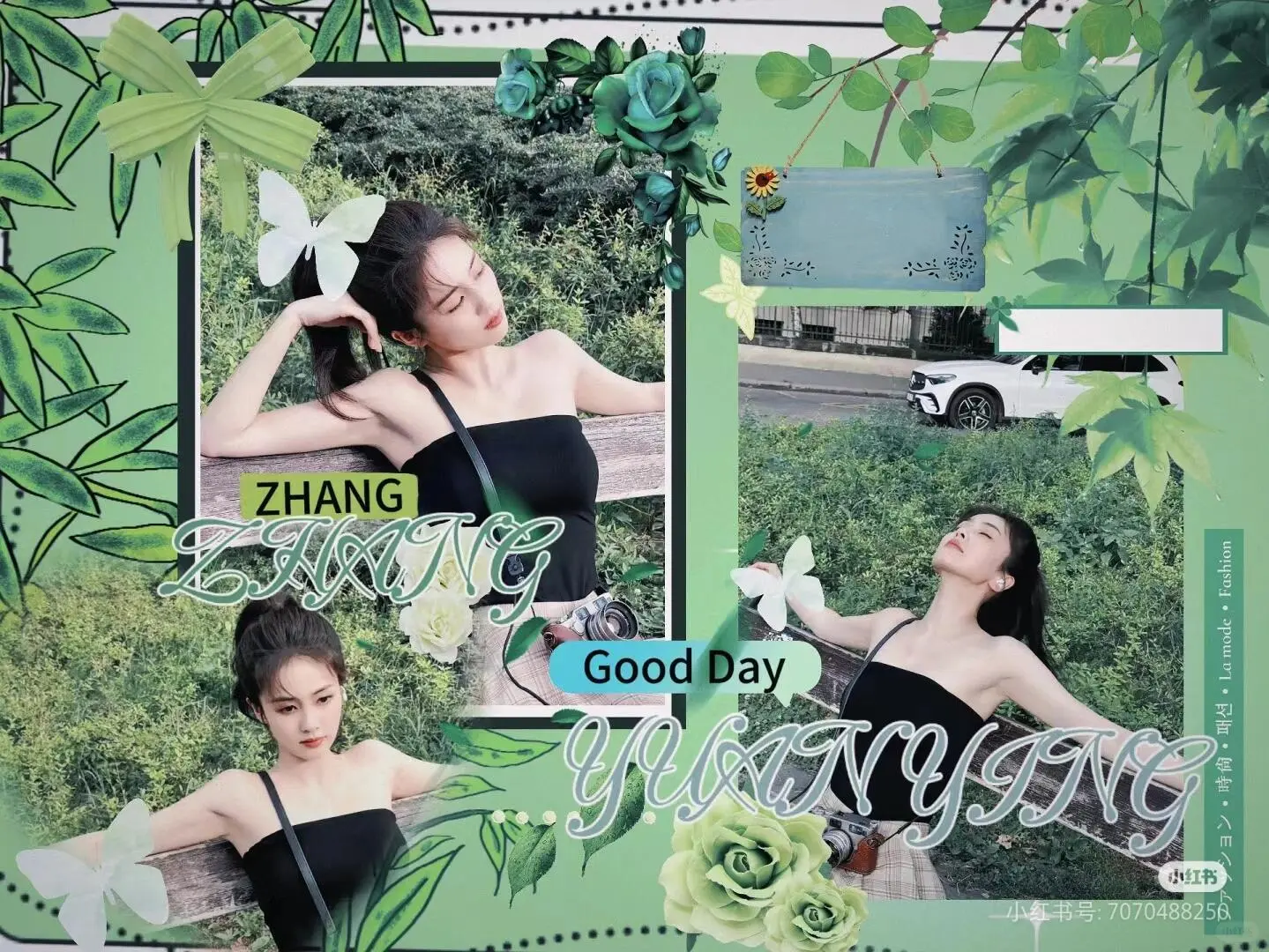白鹿最美啦！鹿茸们有喜欢的壁纸可以拿哟！