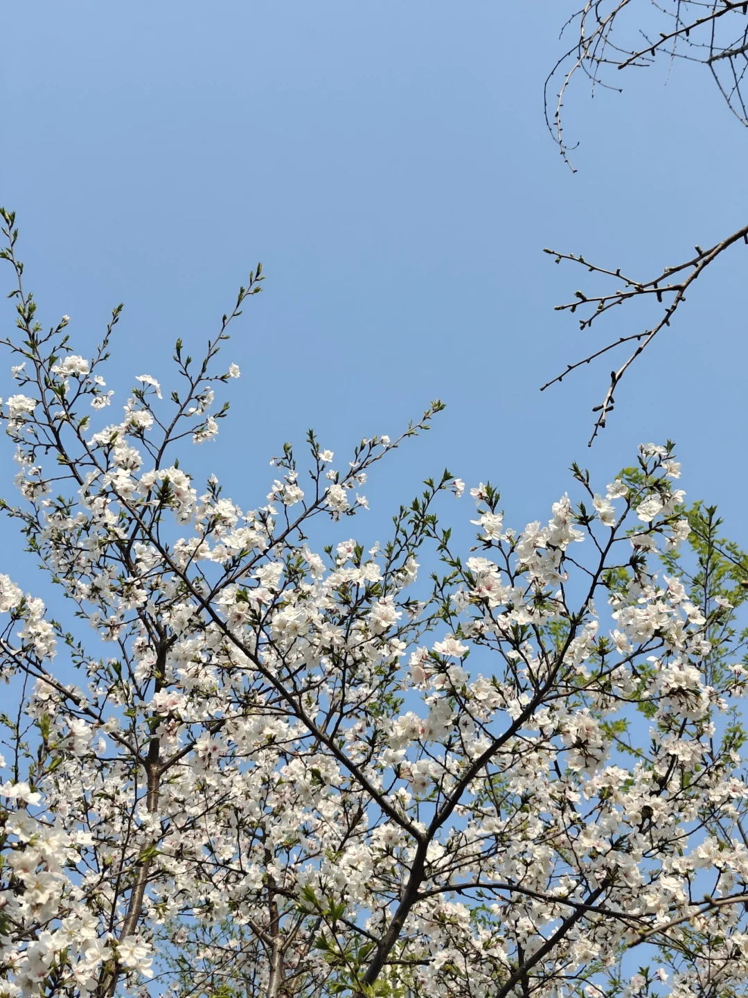 好像在发光