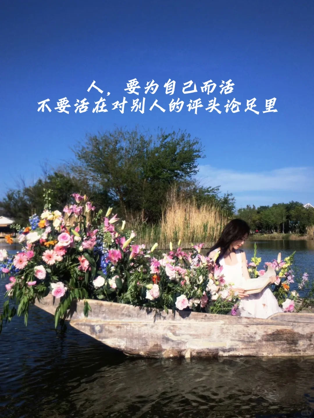 🌟白鹿语录壁纸｜她的光芒照亮了我的路