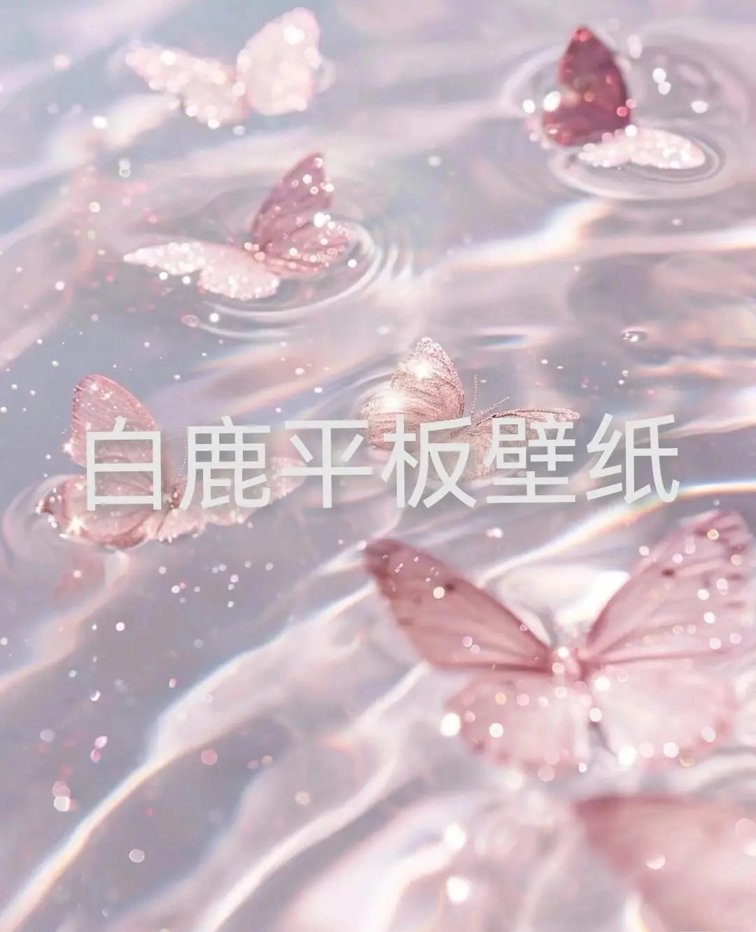白鹿最美啦！鹿茸们有喜欢的壁纸可以拿哟！