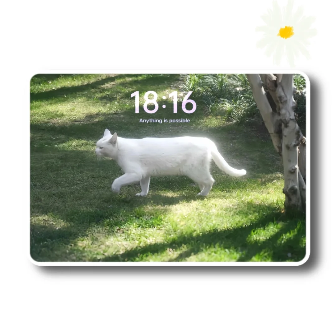 iPad壁纸💛猫猫狗狗🥰🥰