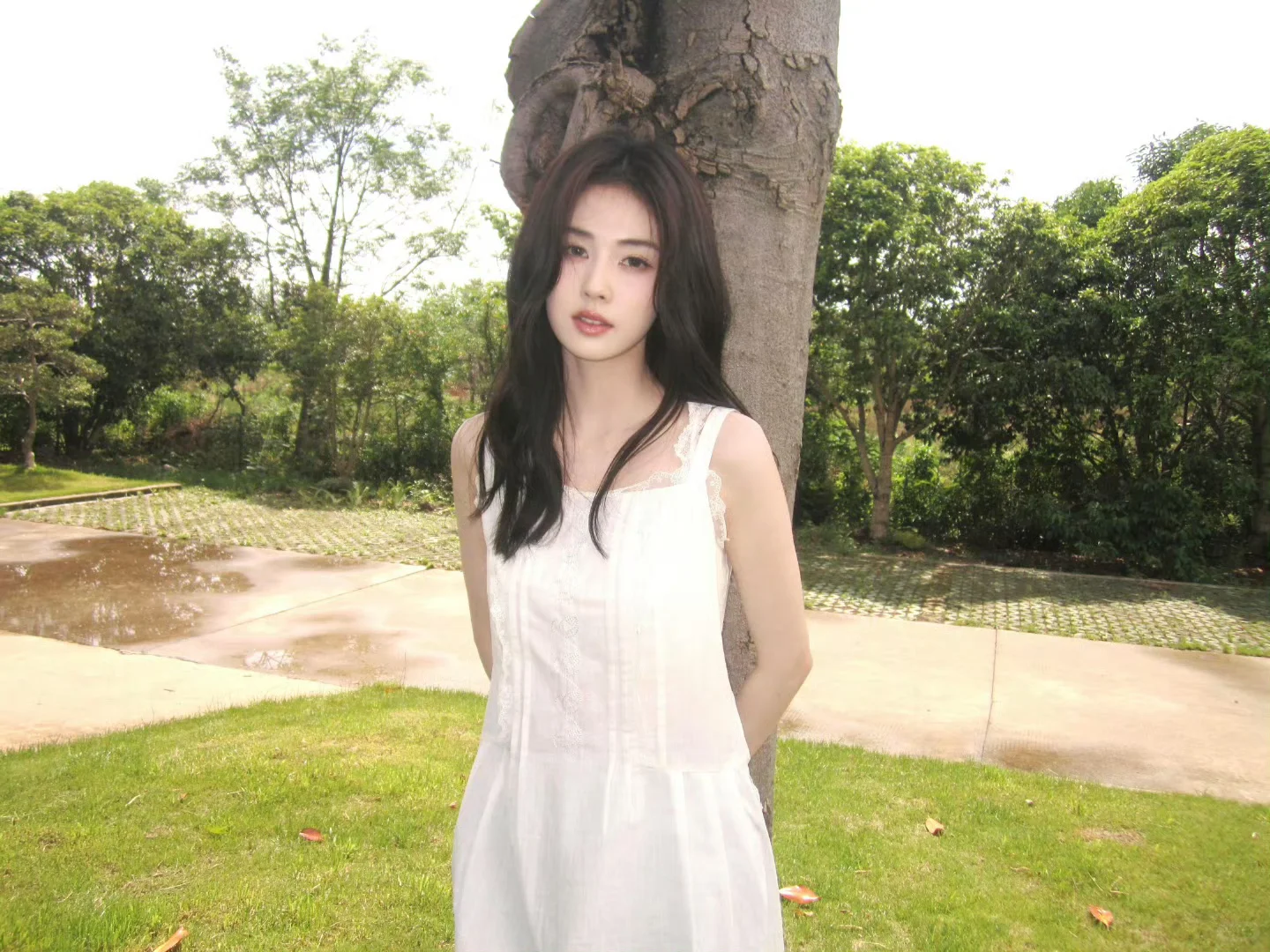 白鹿🦋|横屏壁纸