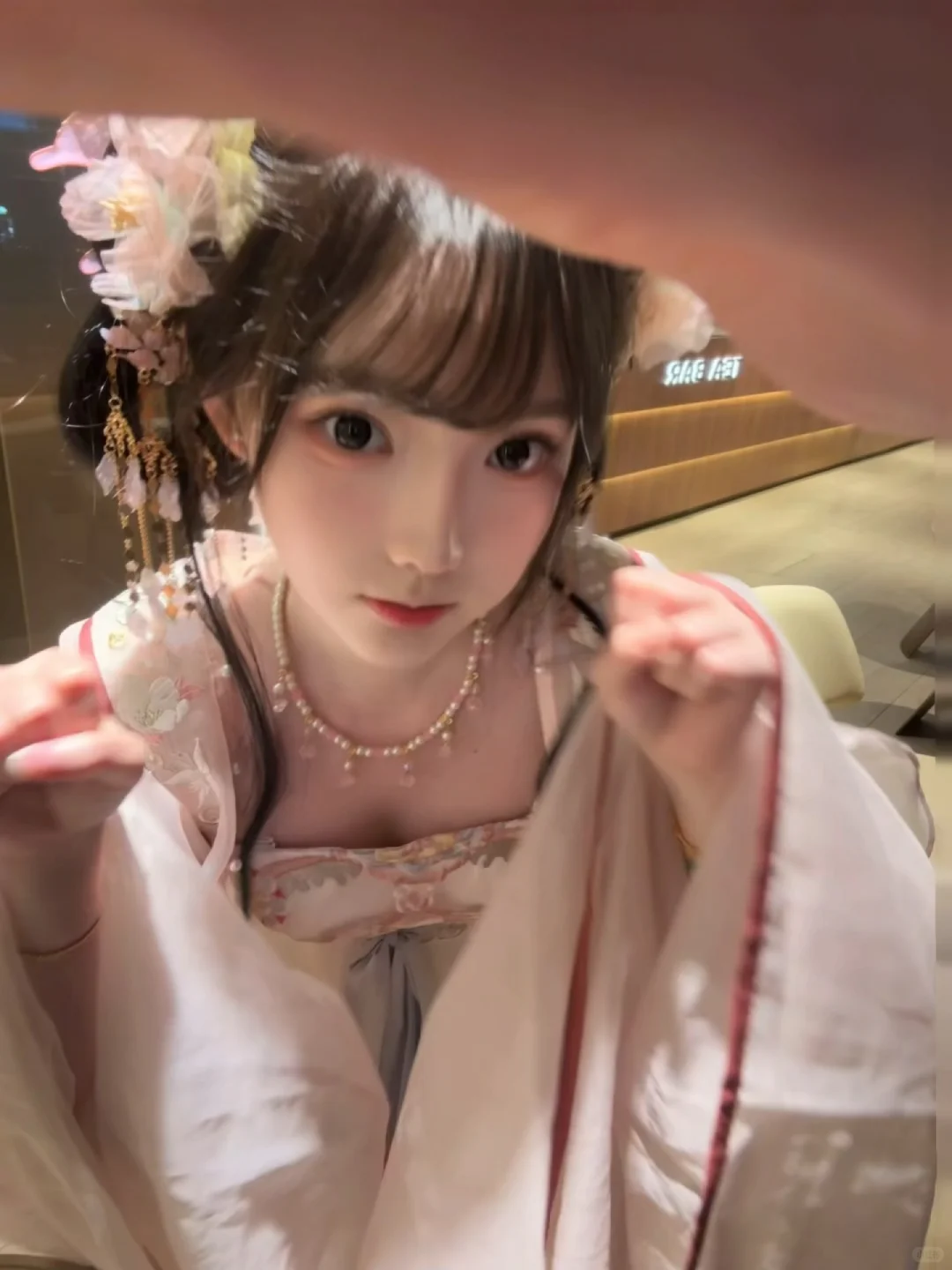 喵喵🐈