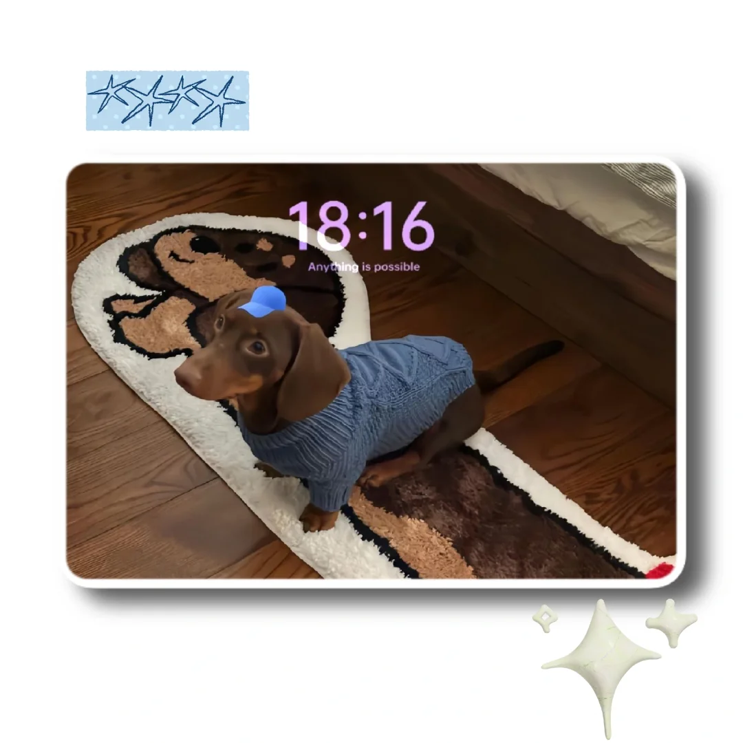 iPad壁纸💛猫猫狗狗🥰🥰
