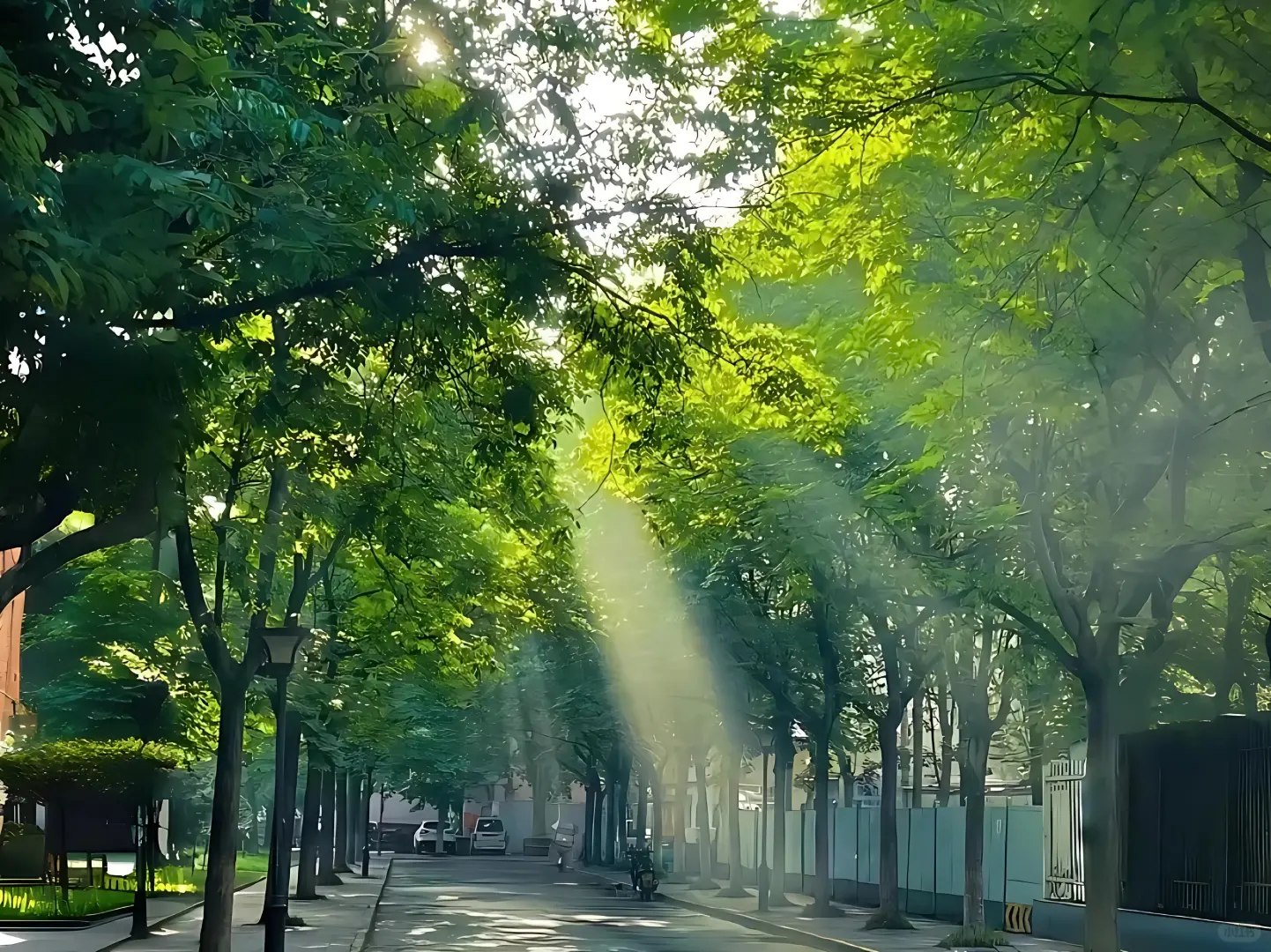 平板壁纸💜