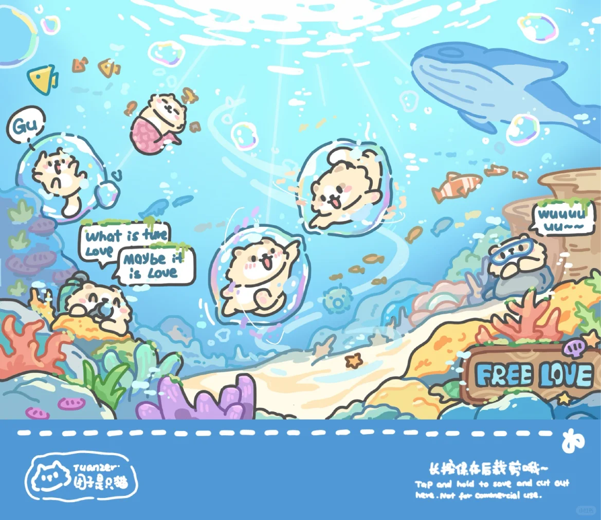iPad壁纸分享｜快和小猫一起潜水吧🌊！