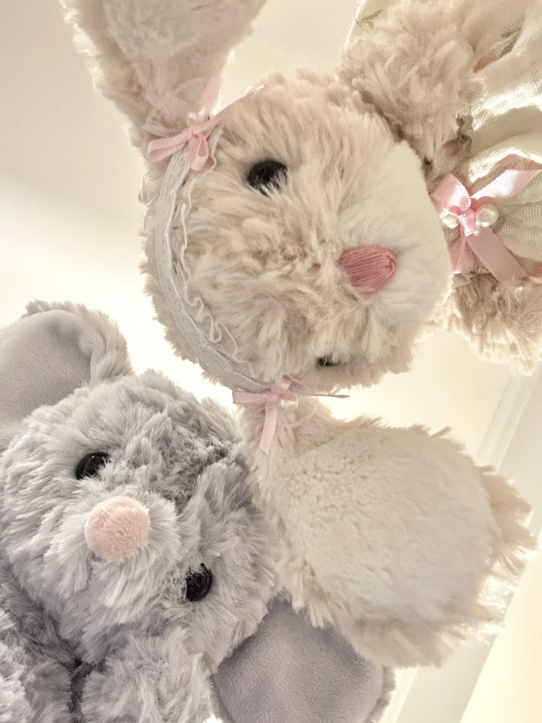 𝗬𝘂𝗺𝗺𝘆 𝘆𝘂𝗺𝗺𝘆 🐾