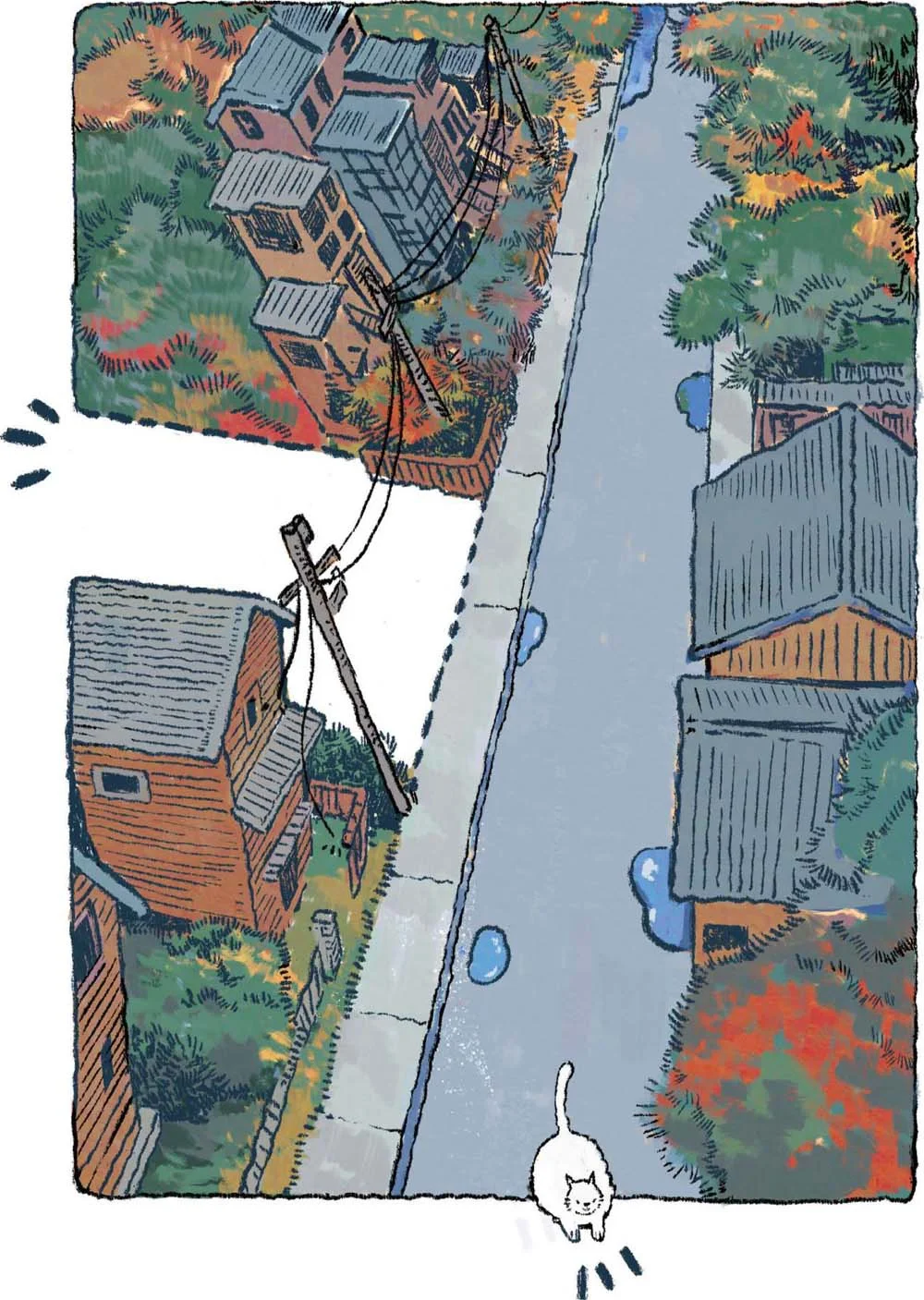 每天认识一位插画师|天然