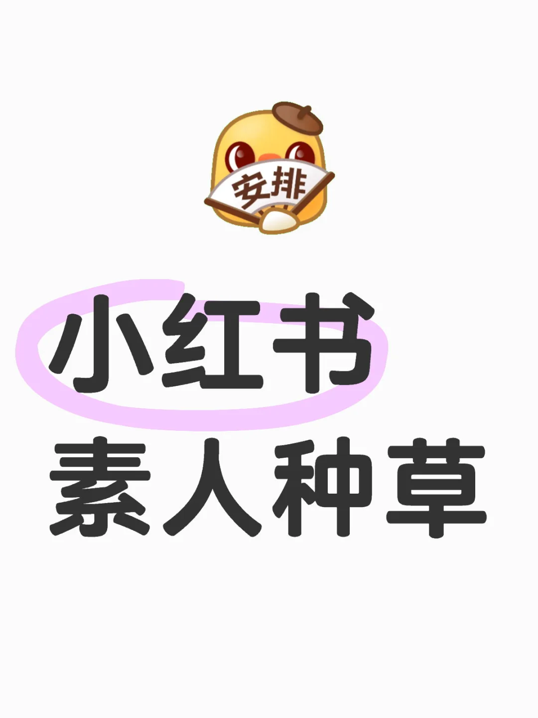 素人种草还能做吗