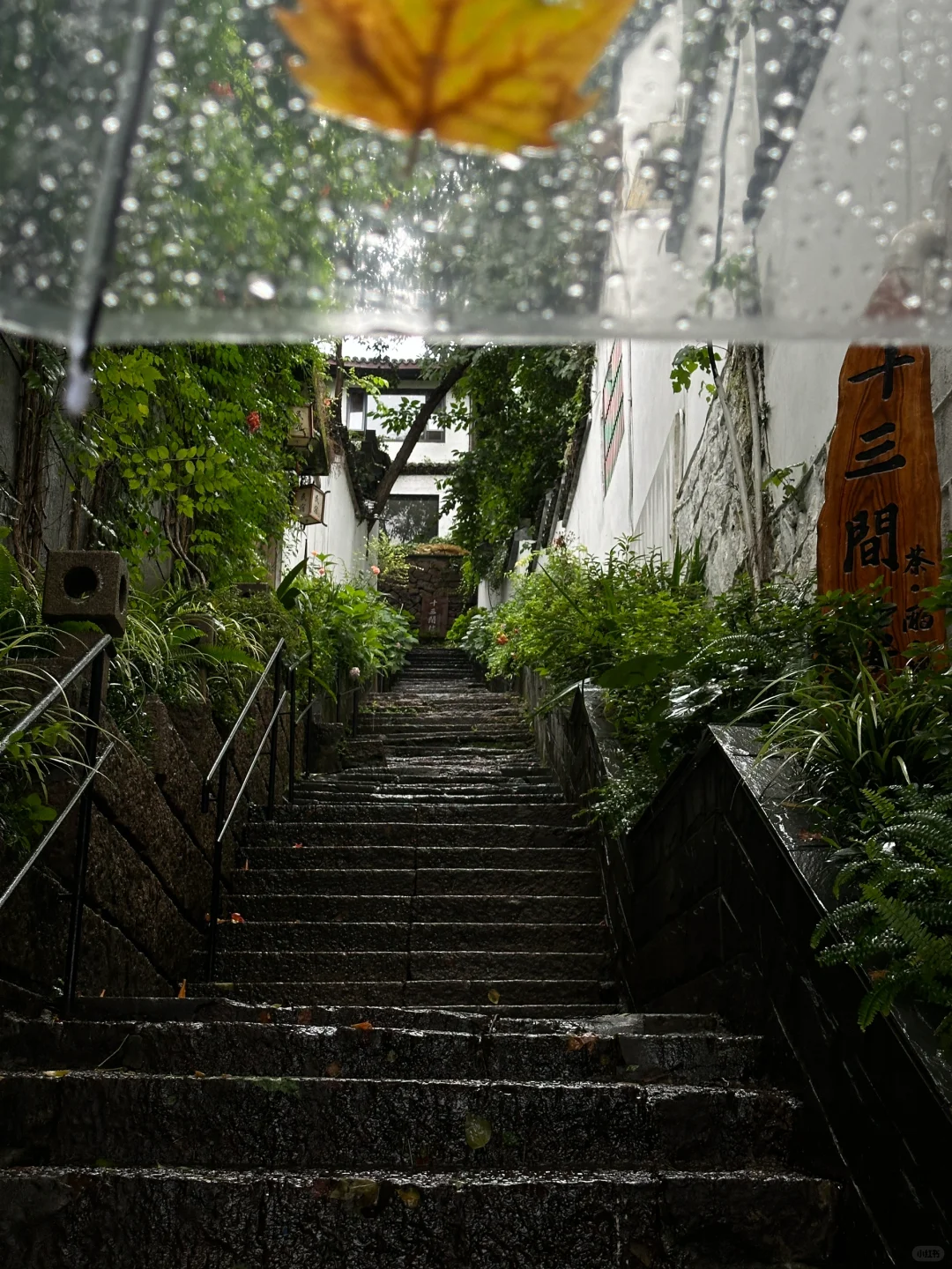 18张未使用极品太阳光live图｜喜欢直接拿