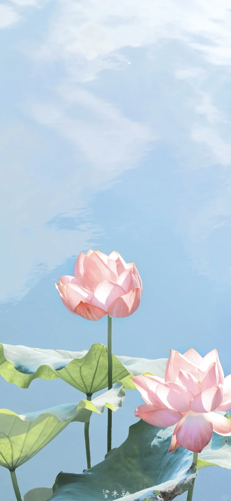 绝美能量壁纸