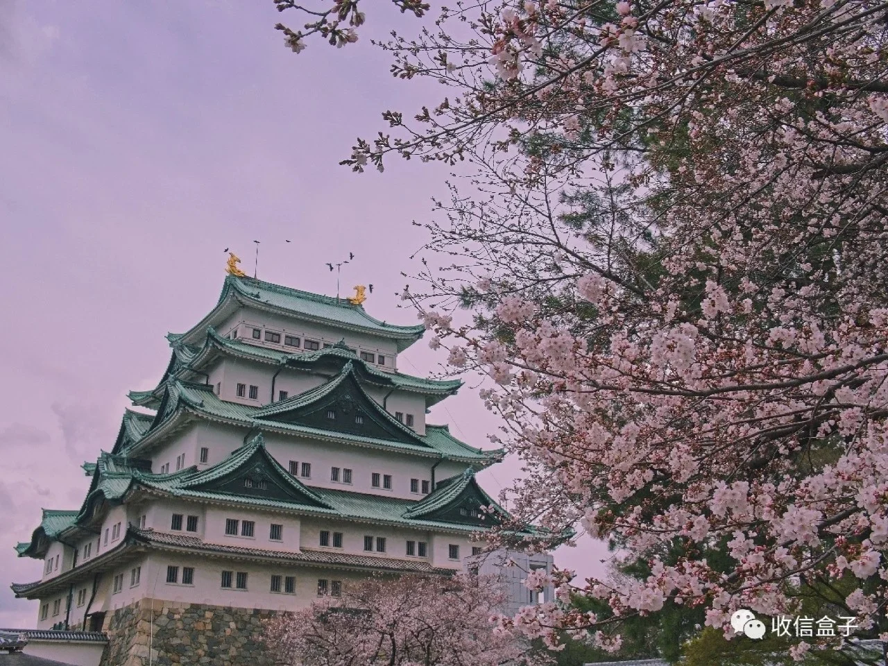 Japan（壁纸）