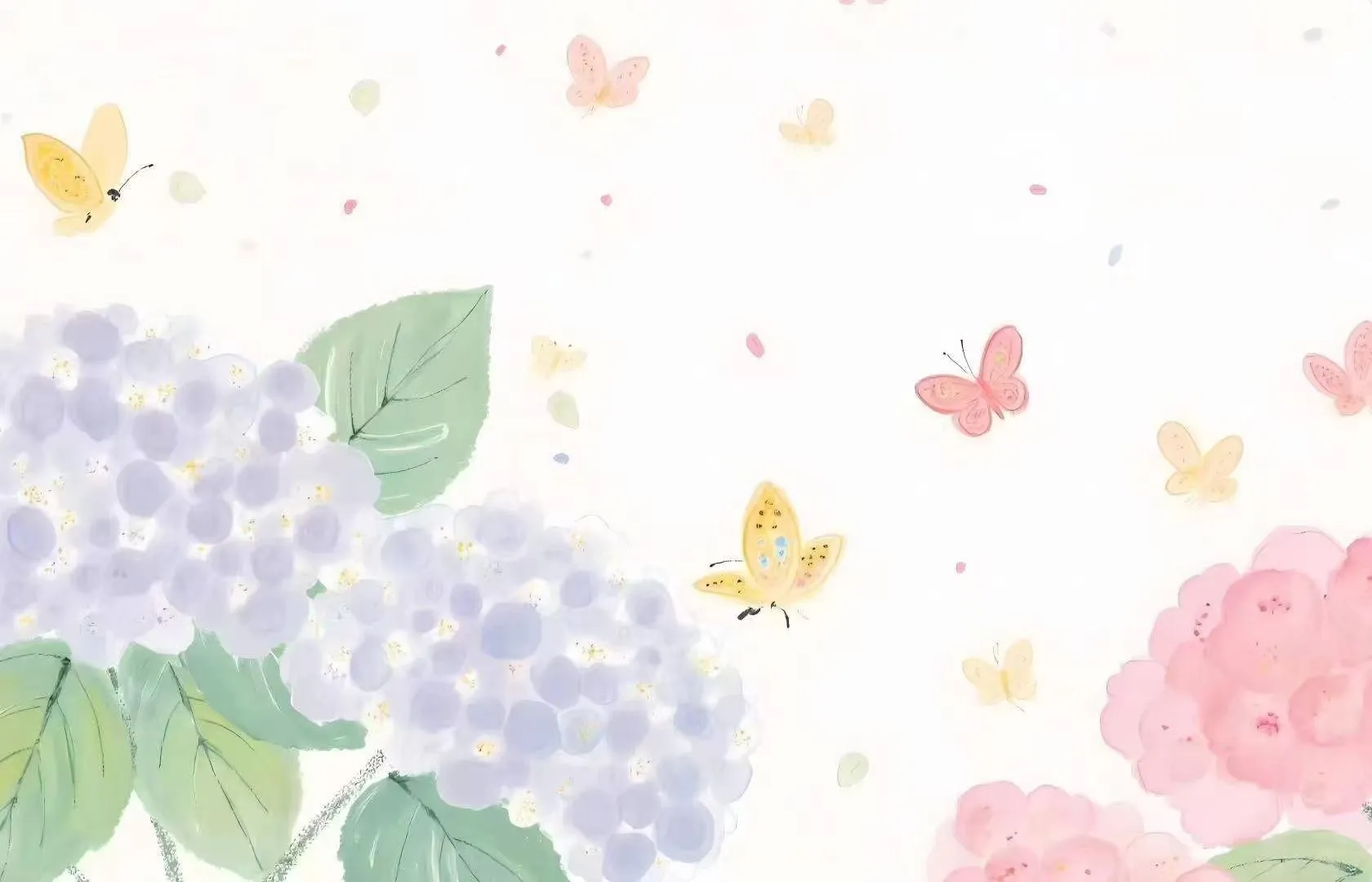 壁纸‖绣球花开 好运自来
