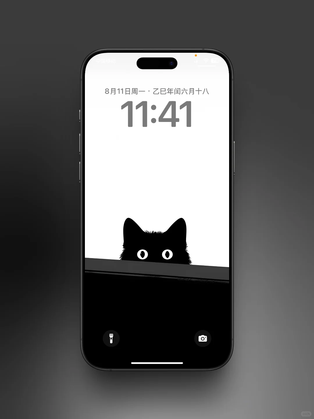 每日壁纸分享｜躲猫猫