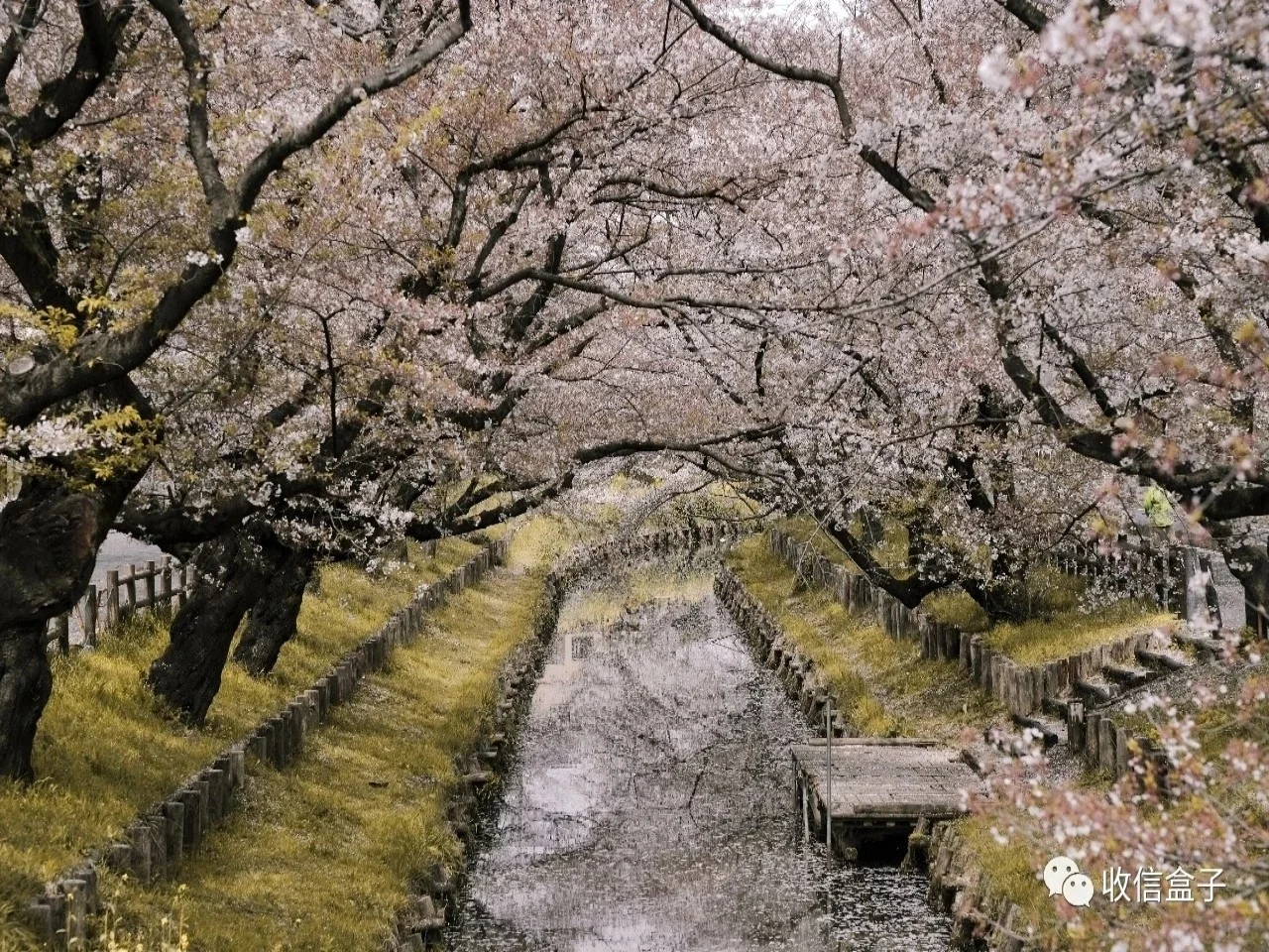 Japan（壁纸）