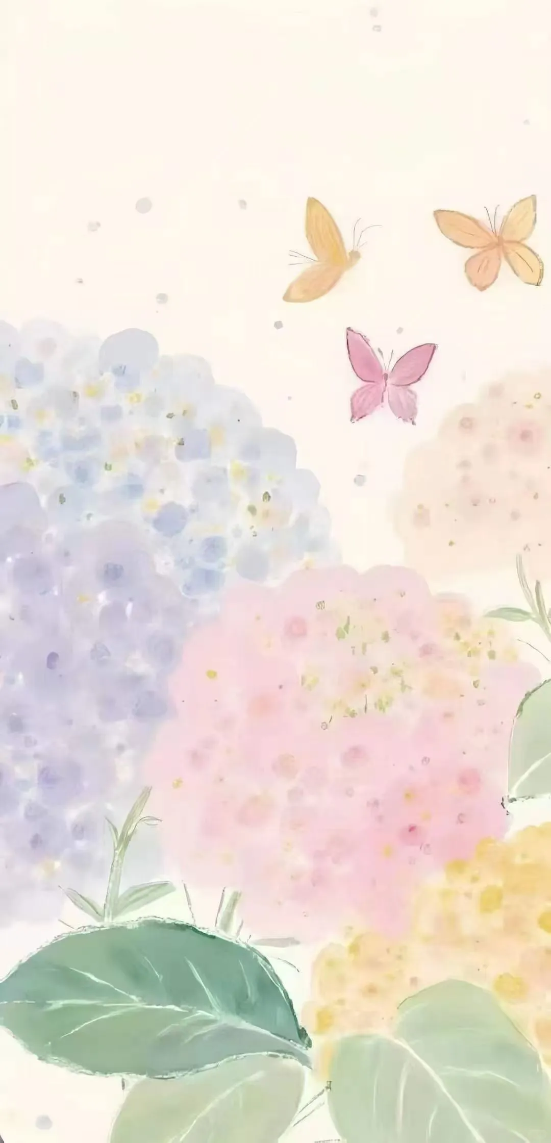 壁纸‖绣球花开 好运自来