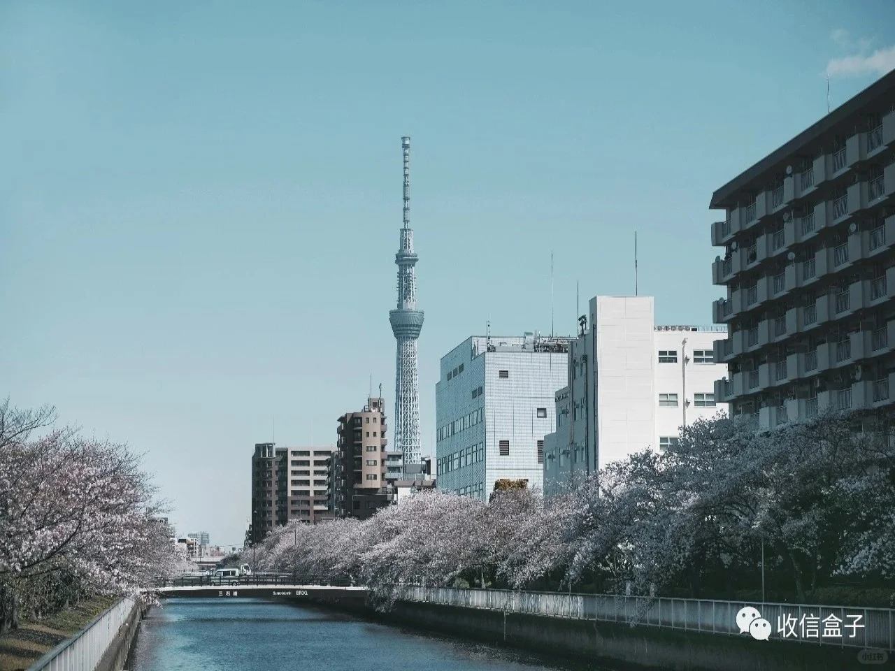 Japan（壁纸）